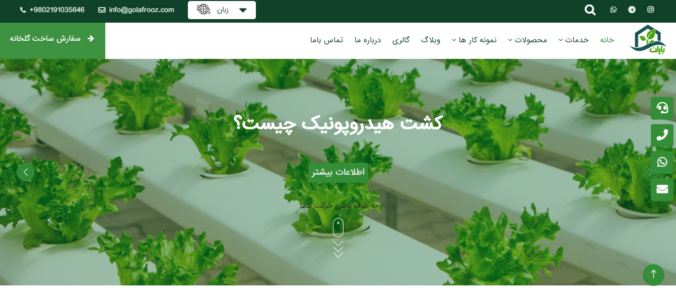 portfolio_golafroos_image1